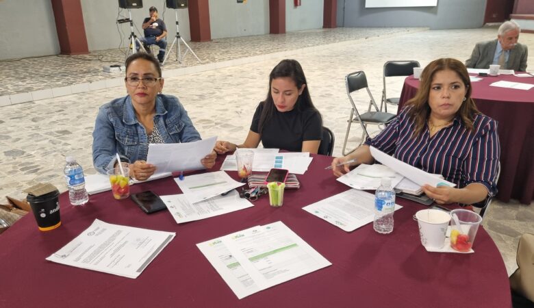 Gobernanza, administración pública y estado de derecho
